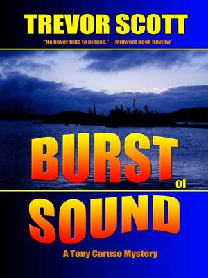 cover image of Burst of Sound
